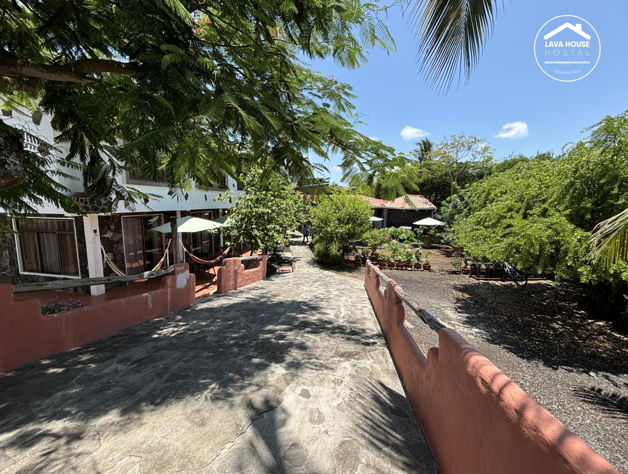 Lava House Hostal 푸에르토아요라 외부 사진