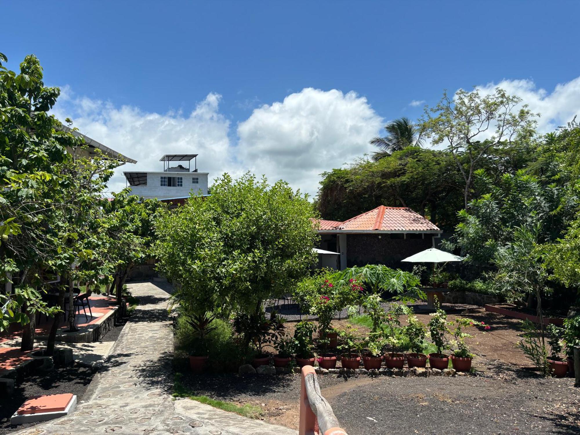 Lava House Hostal 푸에르토아요라 외부 사진