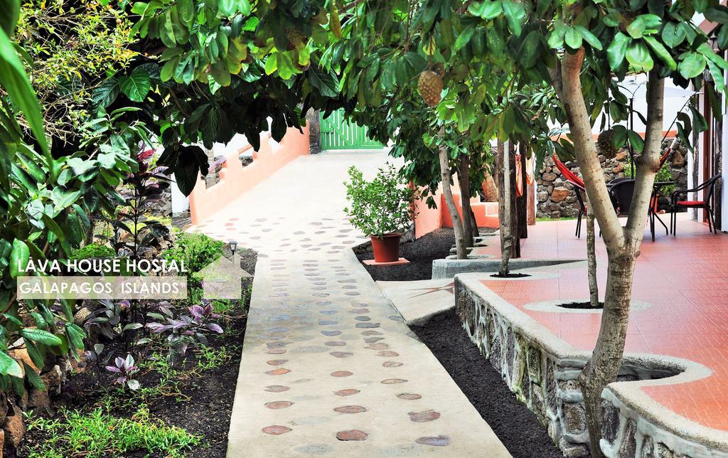 Lava House Hostal 푸에르토아요라 외부 사진